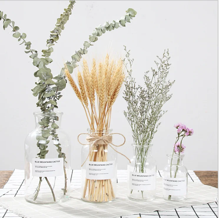 Skandinavisk glas vase inswind husstand kreative udsmykninger gennemsigtig tørre blomst hydroponiske små brune vase1pc