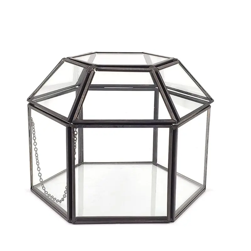 Klart Glas & Messing-Tone Metal Hængslet Top Låg Terrarium Box/Bordplade Jewerly Montre
