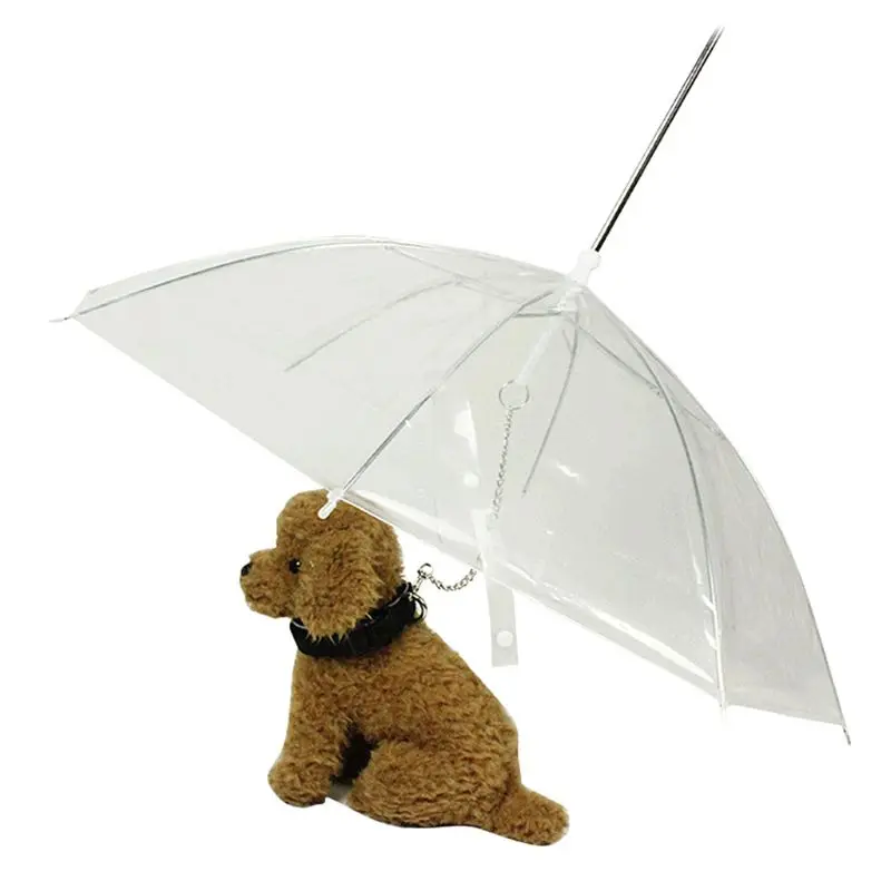 Bærbare Gennemsigtig Walking Lille Hund, Kat, Kæledyr Paraply Med Kæde Holde Sig Tør I Regnvejr Udendørs Gear Værktøj