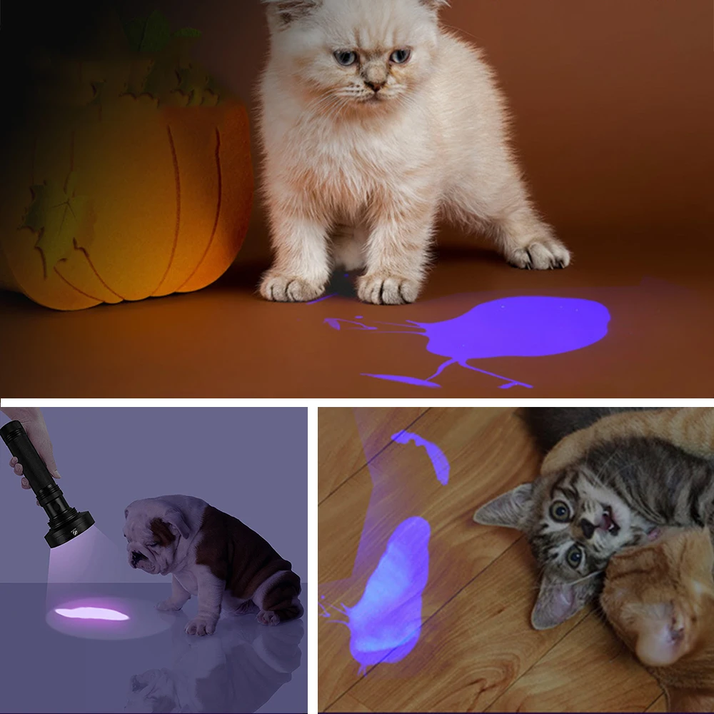 UV-lommelygte 100LED 395nm violet lys UV-detektor lys for hund, kat urin pet pletter fejl scorpion mekanisk lækagesøgning