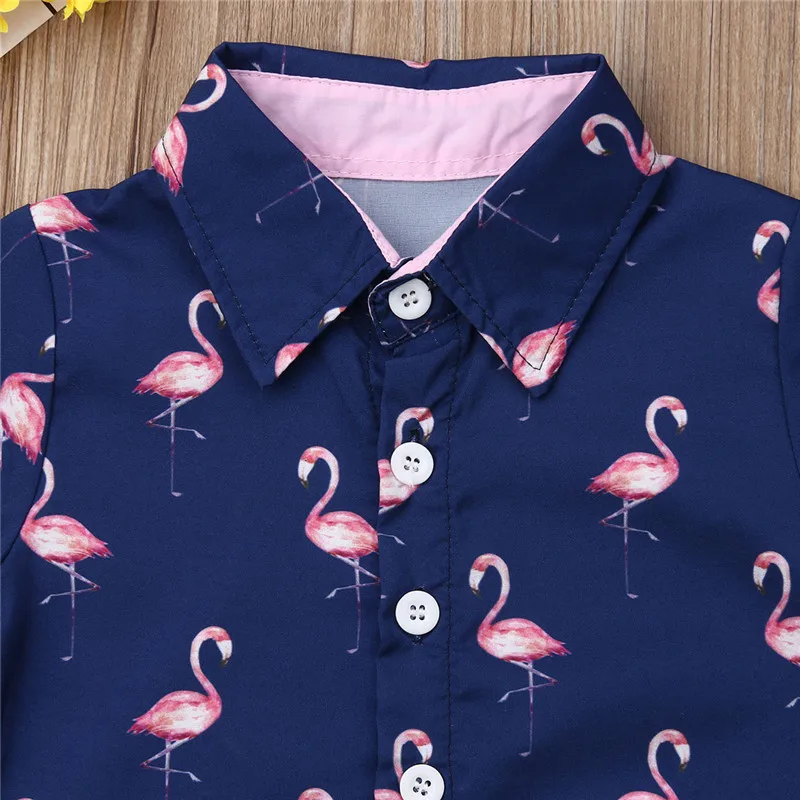 2STK Smuk lille dreng, Kids Baby Drenge Tøj Sæt Flamingo Shirts Toppe +Shorts om Sommeren Afslappet Tøj, Børn Tøj Sæt Dreng