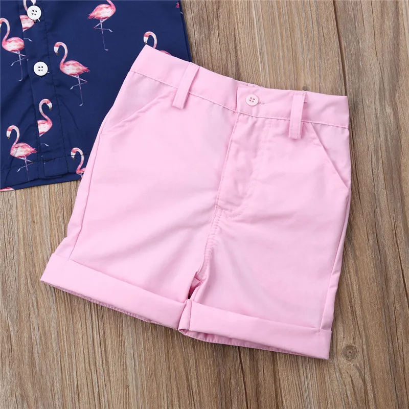 2STK Smuk lille dreng, Kids Baby Drenge Tøj Sæt Flamingo Shirts Toppe +Shorts om Sommeren Afslappet Tøj, Børn Tøj Sæt Dreng