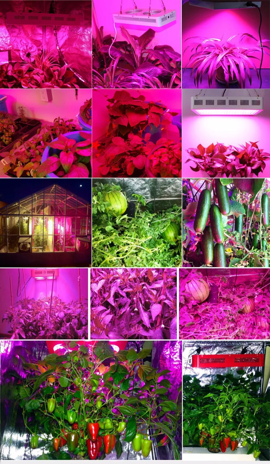 FAMURS led vækst lys 1500W fulde spektrum Triple-Chip UV-IR for at vokse telt drivhus, indendørs planter frø blomstre veg