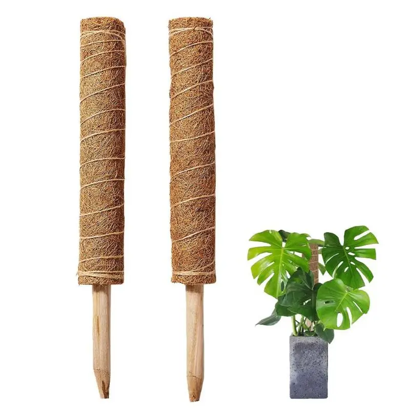 Udvides Klatring Plante Kokos Totem Stang Støtte Havearbejde Coconut Palm Stick til Indendørs Slyngplanter