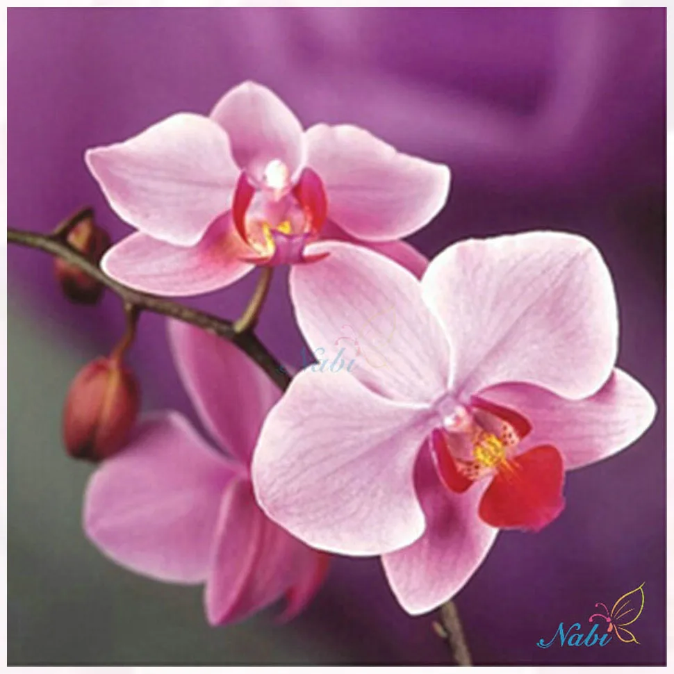 Diamant maleri Håndlavet håndarbejde diy diamant maleri kits diamant broderi plante fuld rhinestone Pink orchid cross
