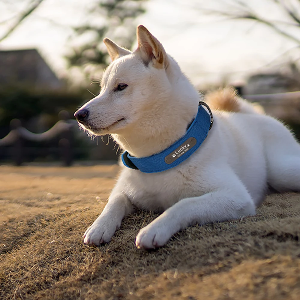 Personlig Lille Hund Halsbånd Læder Halsbånd til Hunde Tag Indgraveret Pet Produkt Tilpasset Hunden Snor Reb Hunde Tilbehør