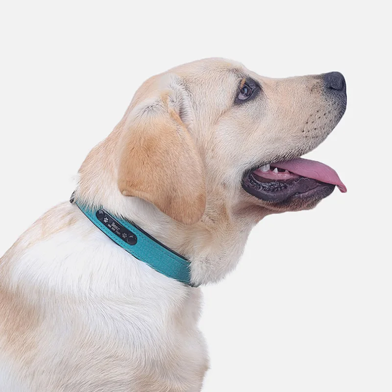Hund Kraver Personlig Brugerdefineret Læder hundehalsbånd Navn, ID-mærker For Små Mellemstore Store Hunde Pitbull Bulldog Beagle Correa Perro