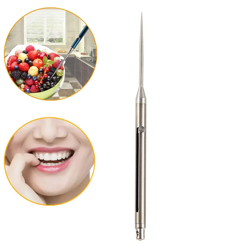 Titanium tandstikker bærbare frugt tandstikker kreative multi-funktion foråret udtrækkelig tandstikker