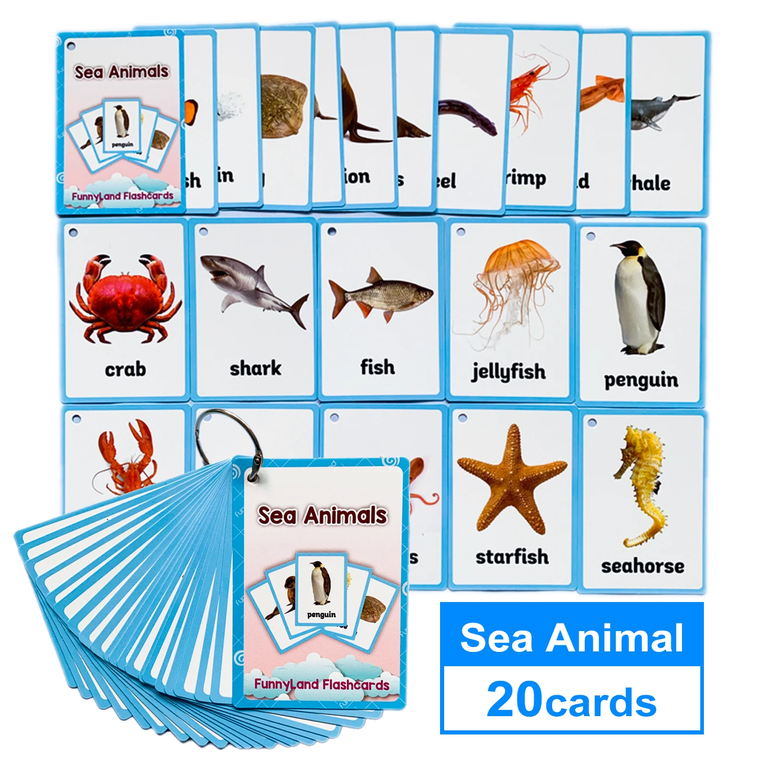 26 Stk/Sæt Fagter Montessori Pædagogiske Børn Legetøj Gaver Lære Engelsk Kort Læring Pocket Cards Kognitive Flash-Kort