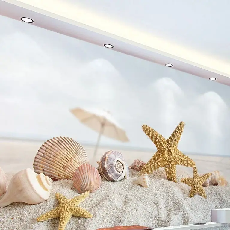 Primære Pigge Femkantet Søstjerner Naturlige Conch Shell Middelhavet Hjem Dekoration Wall Sticker Mikro-landskab Gaver Rekvisitter