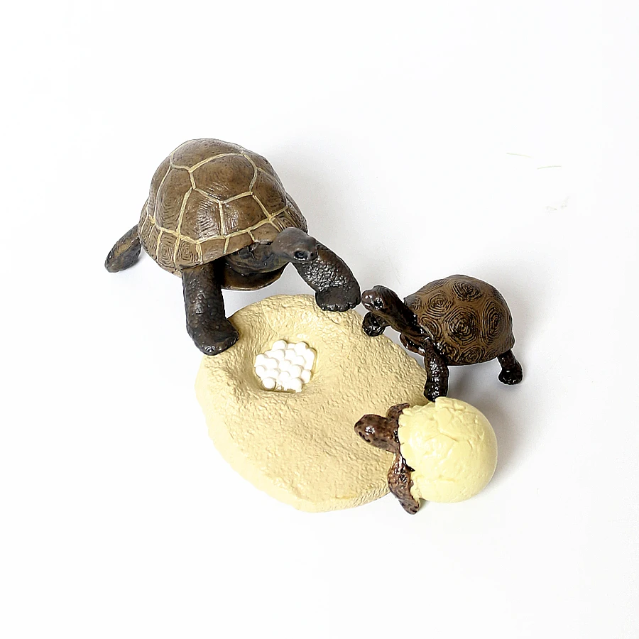Simulering Dyrs Livscyklus Laks,havskildpadde,Leatherback ,Skildpadde Vækst Cyklus Modeller samling Tal Pædagogisk legetøj