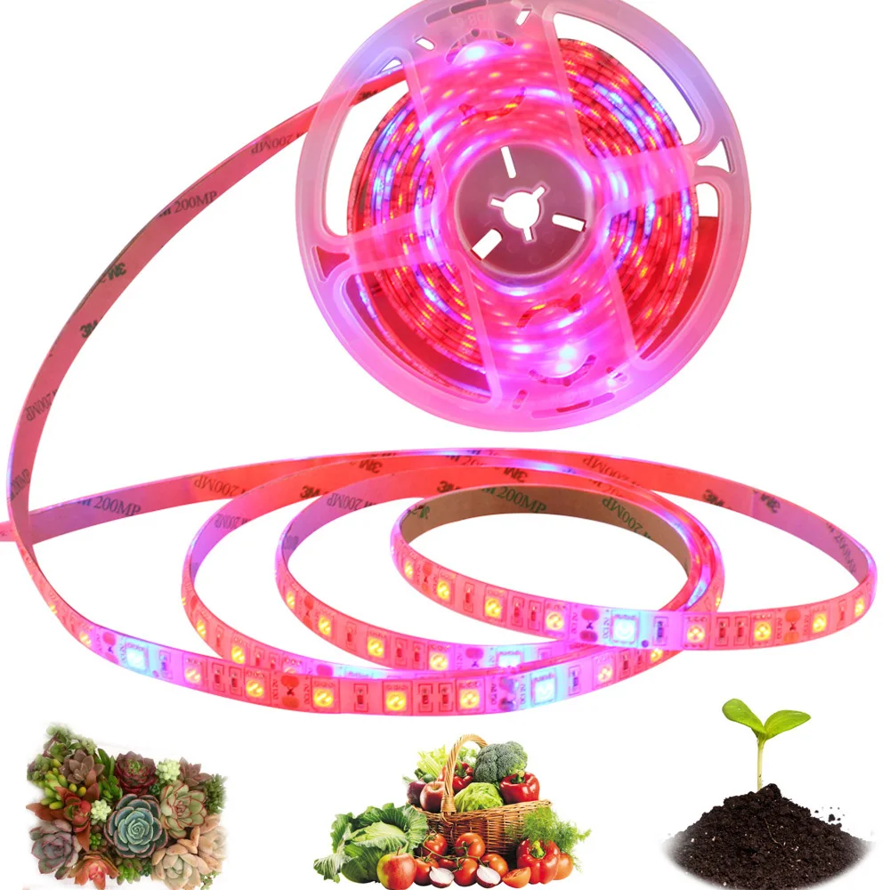 LED vækst Lys Stribe 5M 300led Fulde Spektrum Phyto Lampe SMD5050 Rød Blå for Planter, Blomster, Drivhuse, Hydroponic Voksende Plante