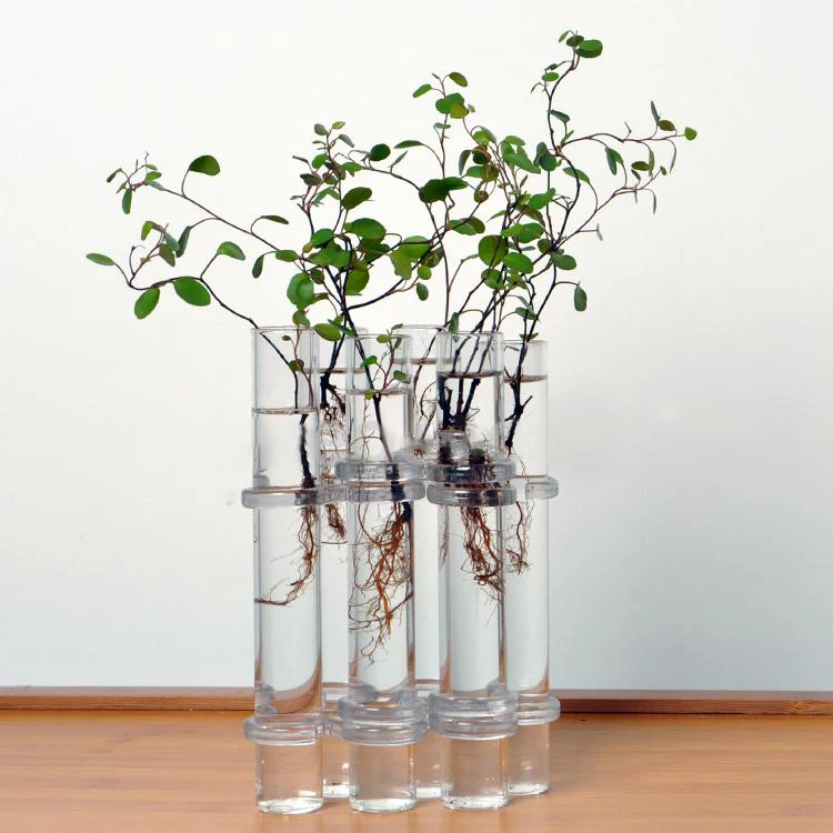 ELE-6 Glas Rør Form Hængende Hydroponiske Blomst Plante Vase Terrarium Container