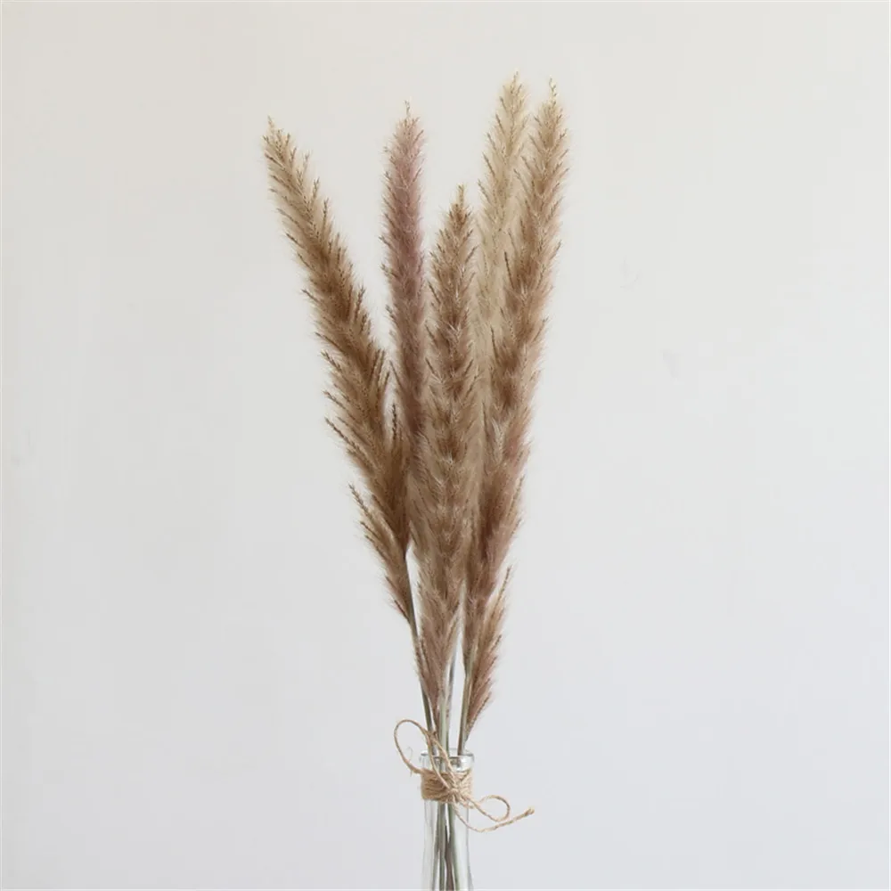 Rå farve 15 stk Indretning bryllup hjem lille pampas reed græs, tørret naturlige planter flok