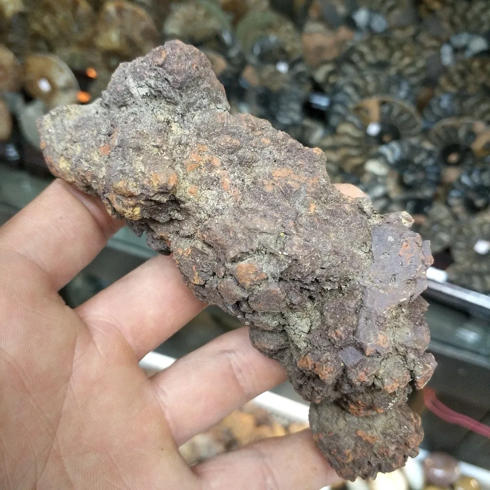 2019 hot 100g Naturlige sten Sjældne dinosaur ekskrementer lort fossile Madagaskar Møg fossiler samlinger populære science-undervisning