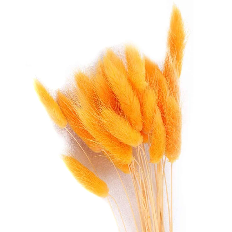 Naturlige Tørrede Blomster Lagurus Hvide Kunstige Blomster, Farverige Falske Kanin Hale Græs Ovatus Foxtail Buket Lange Klaser-30