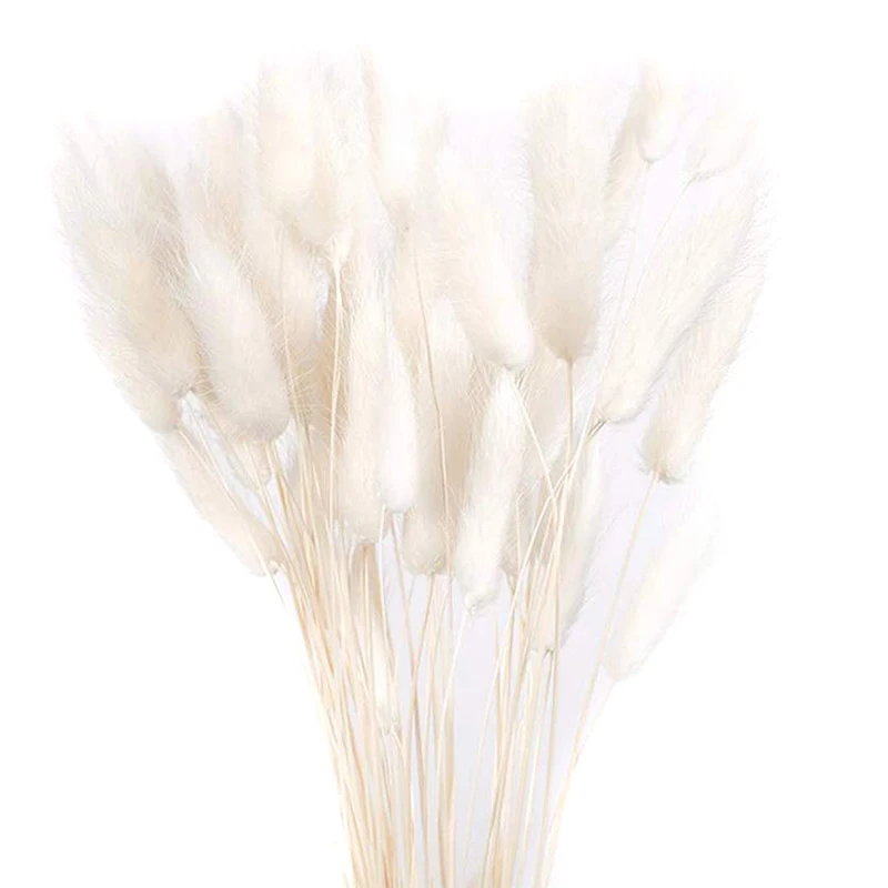Naturlige Tørrede Blomster Lagurus Hvide Kunstige Blomster, Farverige Falske Kanin Hale Græs Ovatus Foxtail Buket Lange Klaser-30