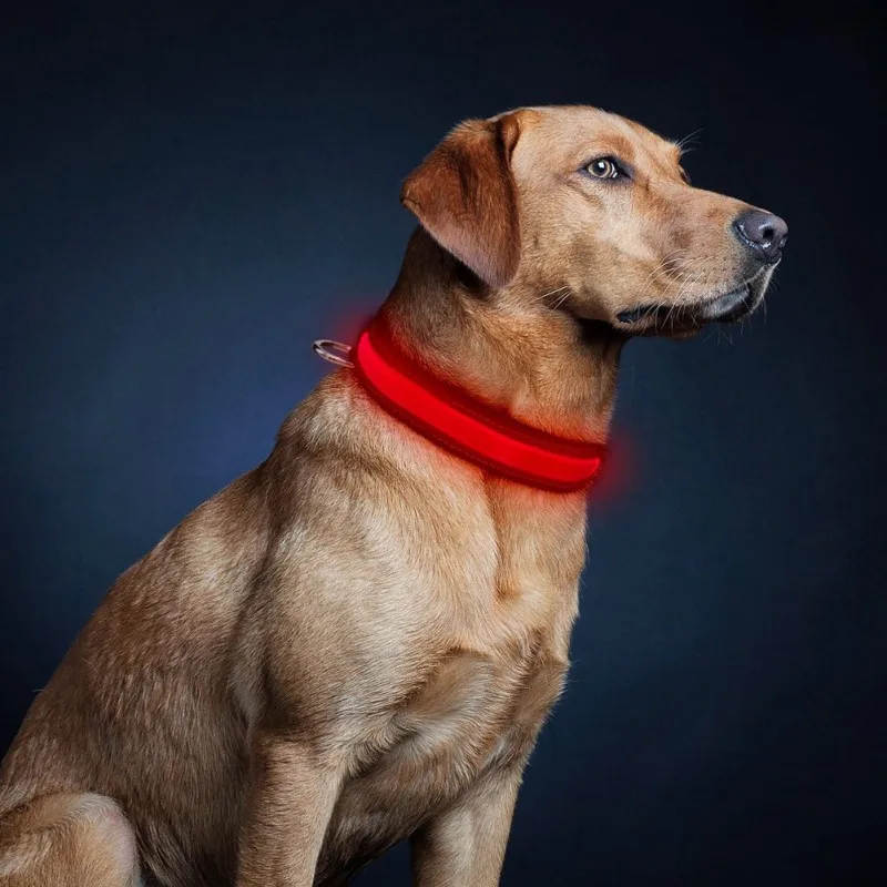 10 Stilarter Led Hundehalsbånd Anti Tabt Bilulykke Undgå Halsbånd Til Hunde Hvalpe, Hund, Katte Halsbånd Lysende Pet Supplies