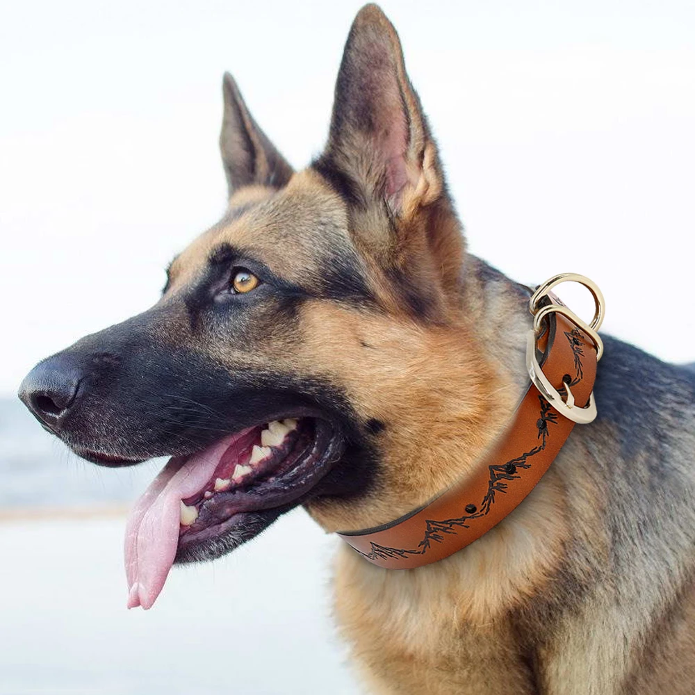 Læder hundehalsbånd i Ægte Læder Hund Kraver Pitbull tyske Shepherd Krave Nakke Spænde for Små Mellemstore Store Hunde